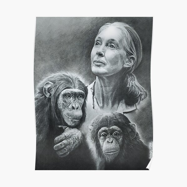 WE ARE FAMILY  JANE GOODALL Poster