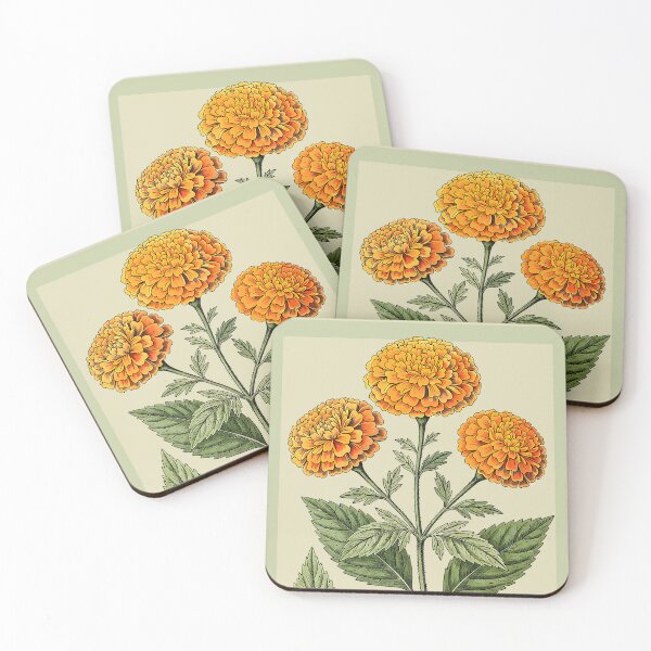 Item preview, My favorite autumn flowers, Aztec marigold, botanical illustration designed and sold by Mevissart.