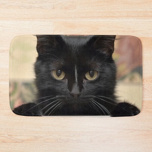 Item preview, Black Cat Holding Blank Sign designed and sold by SassyArtistry.