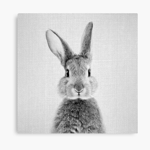 Item preview, Rabbit - Black & White designed and sold by galdesign.