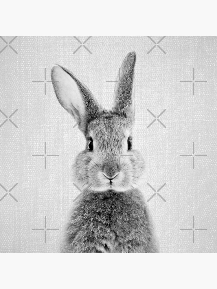 Lamina Rigida Conejo Blanco Y Negro De Galdesign Redbubble