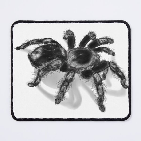 Item preview, Squiggles | Tarantula Study designed and sold by PaxStudios.