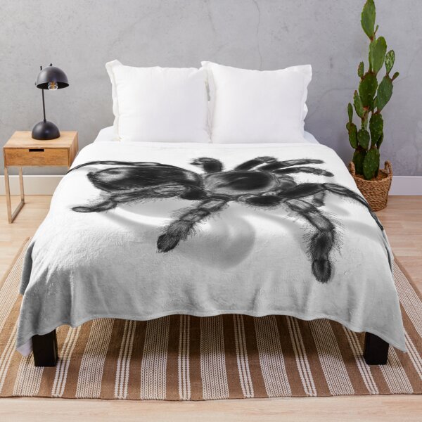 Item preview, Squiggles | Tarantula Study designed and sold by PaxStudios.