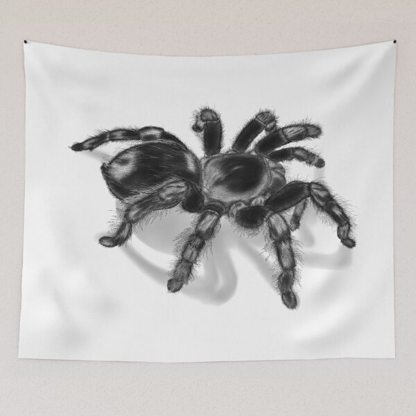 Item preview, Squiggles | Tarantula Study designed and sold by PaxStudios.