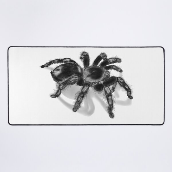 Item preview, Squiggles | Tarantula Study designed and sold by PaxStudios.