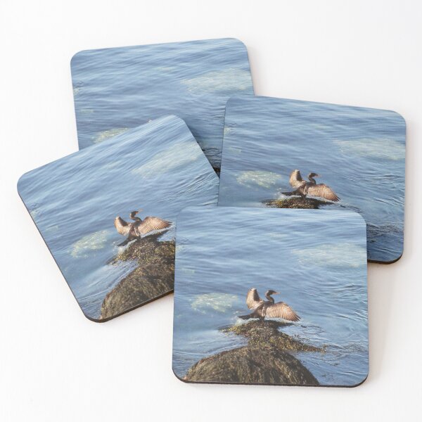 Item preview, Anhinga Sunbath designed and sold by Brandon William / The Demon Kelbroton.