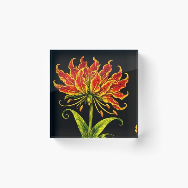 Item preview, Giant Fire Lily  designed and sold by scicilysimonee.
