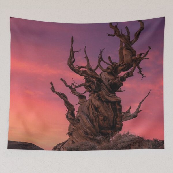 Item preview, Twilight Guardian of the Desert designed and sold by ALIOOMEKK75.