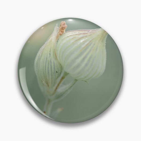 Item preview, Petal Mastro's Steakhouse Harmony Creates Balance designed and sold by Giuliaclimb.