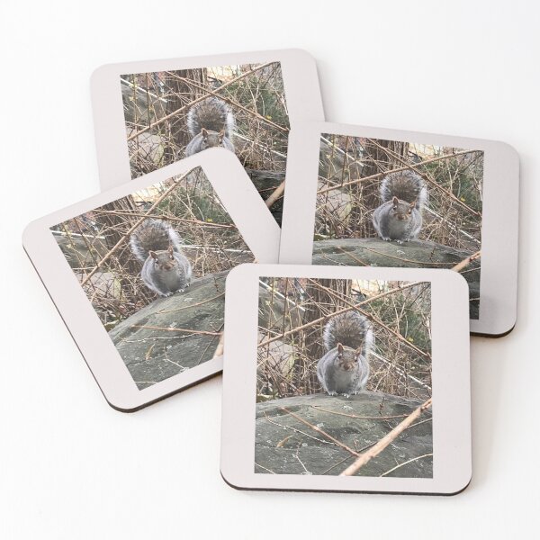 Item preview, NYC Squirrel Manhattan Winter Stickers Prints Posters Wall Art Magnet Home Coffee Cup Decoration TShirt Stationary Notebook Magnet Hat Kitchen Work School Office Redbubble Shop designed and sold by Saritas Boutique Shop.