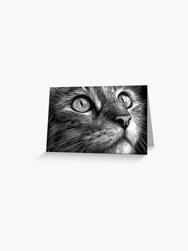 Cat s face scratchboard art