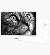Cat's face - scratchboard art Postcards
