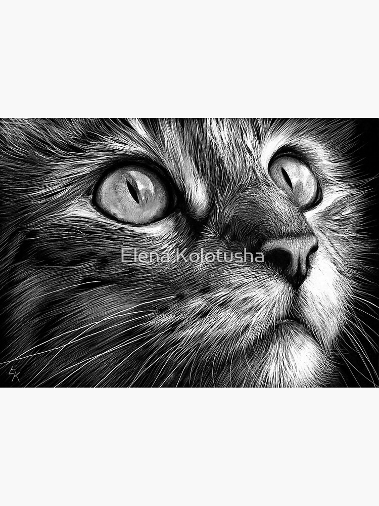 "Cat's face scratchboard art" Sticker for Sale by yelenabella Redbubble