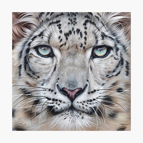 Item preview, Faces of the wild - Snow Leopard designed and sold by Elena Kolotusha.