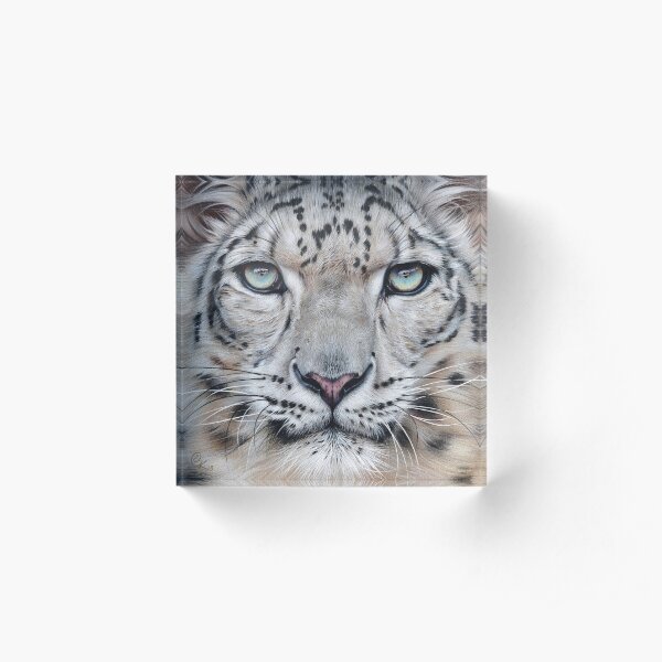Faces of the wild - Snow Leopard Acrylic Block