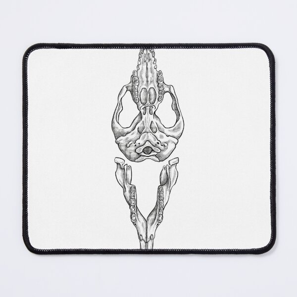 Item preview, Brushtail Possum Skull Anatomy designed and sold by robrllemrn29.