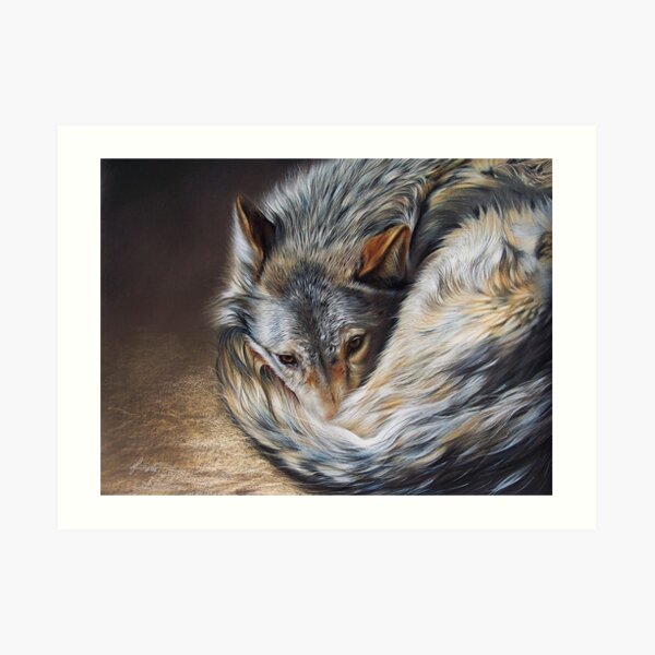 Watchful rest (Grey Wolf) Art Print