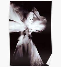Showgirl Poster
