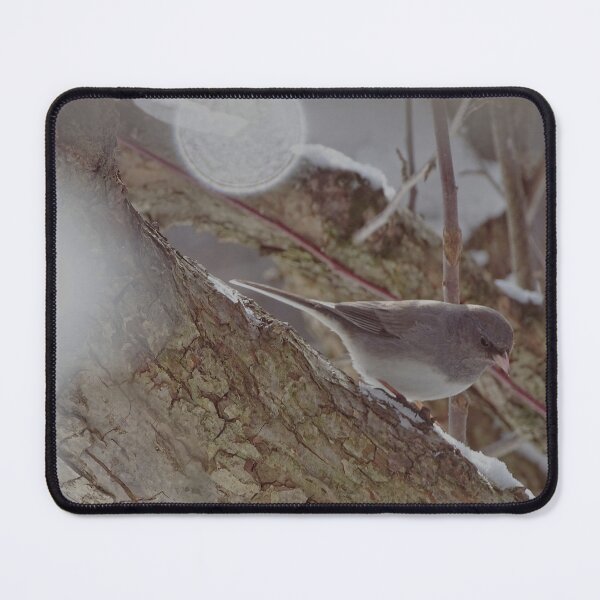 Item preview, vermont junco designed and sold by mjean.art.