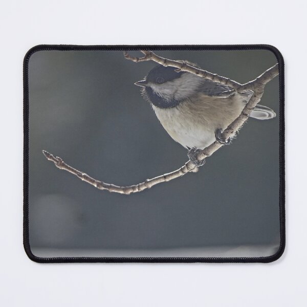 Item preview, vermont chickadee designed and sold by mjean.art.