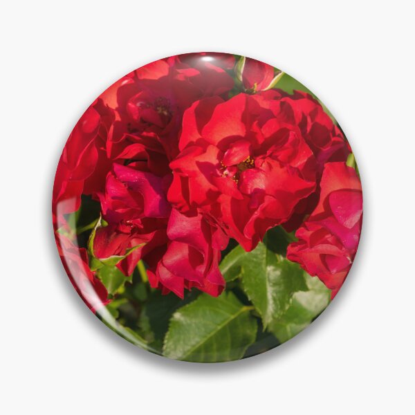 Item preview, Vibrant Scarlet Red Roses in Full Bloom designed and sold by Georgia Mizuleva.