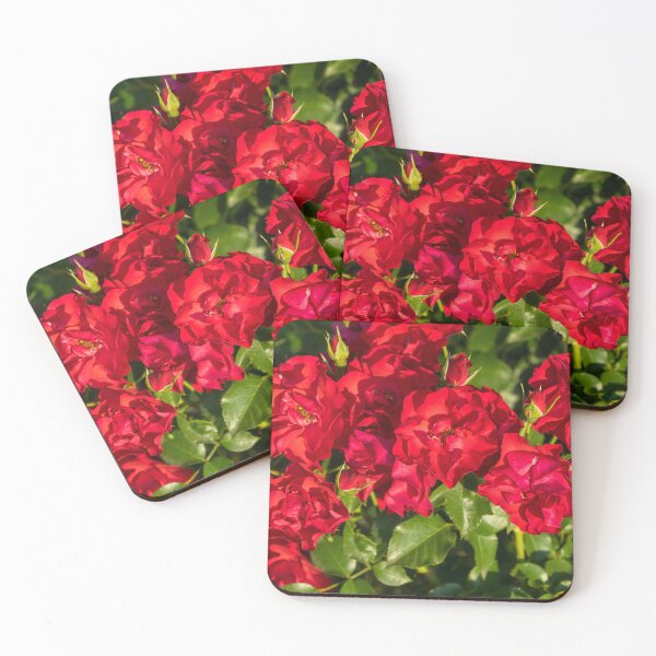 Item preview, Vibrant Scarlet Red Roses in Full Bloom designed and sold by Georgia Mizuleva.