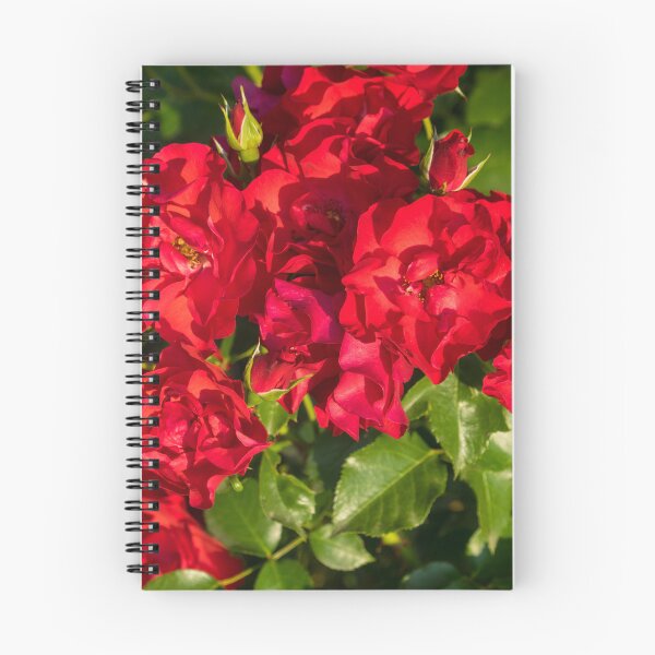 Item preview, Vibrant Scarlet Red Roses in Full Bloom designed and sold by Georgia Mizuleva.
