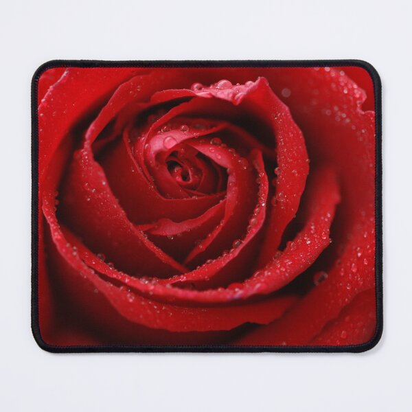Item preview, Red rose with dew designed and sold by Kaunaz.