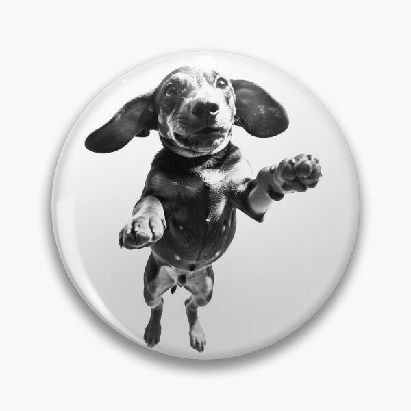 Item preview, Dachshund Mid-Air Funny Action Premium Shirt designed and sold by SeNsArtGallery.