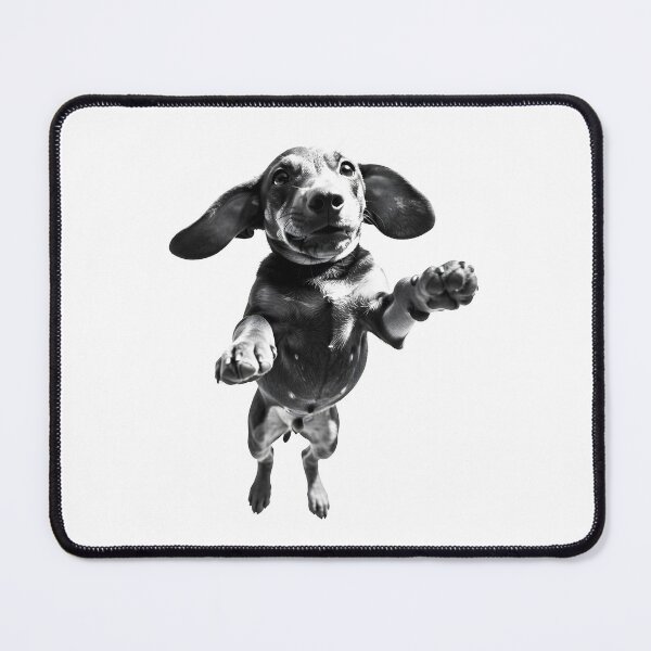 Item preview, Dachshund Mid-Air Funny Action Premium Shirt designed and sold by SeNsArtGallery.