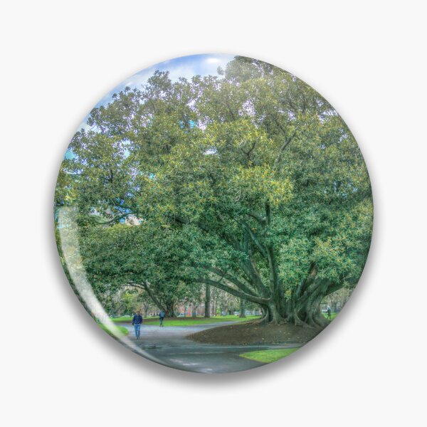 Item preview, Moreton Bay Fig Tree designed and sold by Steven Jodoin.