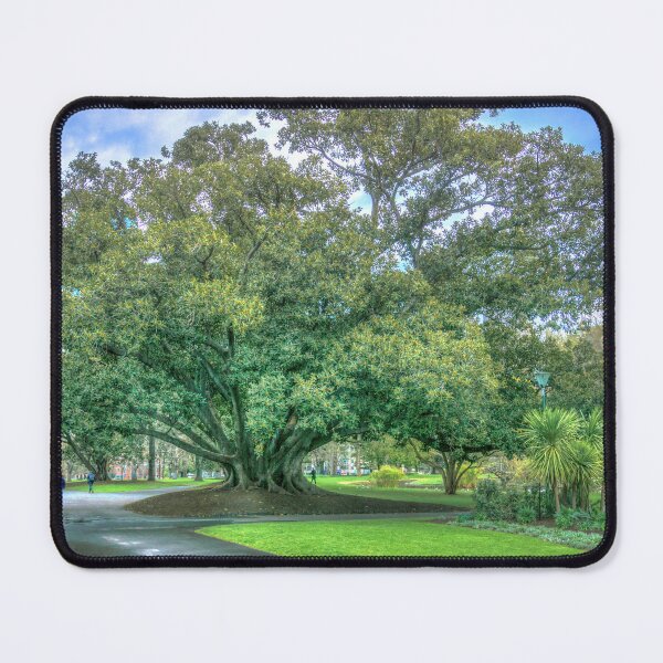 Item preview, Moreton Bay Fig Tree designed and sold by Steven Jodoin.