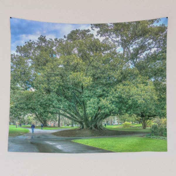 Item preview, Moreton Bay Fig Tree designed and sold by Steven Jodoin.