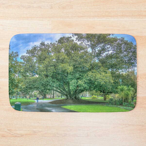 Item preview, Moreton Bay Fig Tree designed and sold by Steven Jodoin.