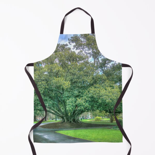 Item preview, Moreton Bay Fig Tree designed and sold by Steven Jodoin.