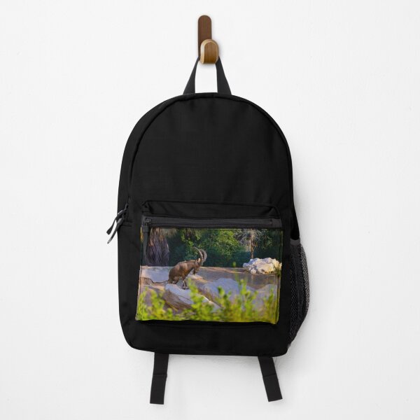 Item preview, Majestic Nubian Ibex on Rocks - Wild Mountain Goat Photography designed and sold by AbulailArt.