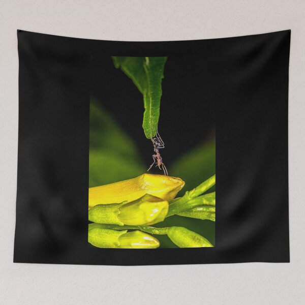 Item preview, Ant Bridge Macro - Determined Insect Wildlife Photography designed and sold by AbulailArt.