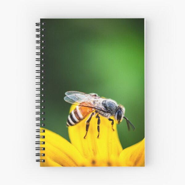 Item preview, Honeybee on Yellow Flower Wildlife Photography Art designed and sold by AbulailArt.