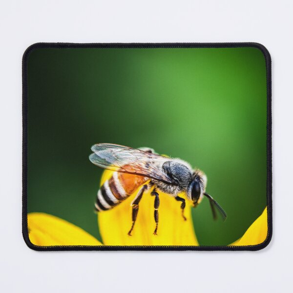 Item preview, Honeybee on Yellow Flower Wildlife Photography Art designed and sold by AbulailArt.