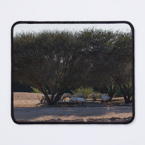 Item preview, Arabian Oryx Oasis - Desert Wildlife Landscape Photography designed and sold by AbulailArt.