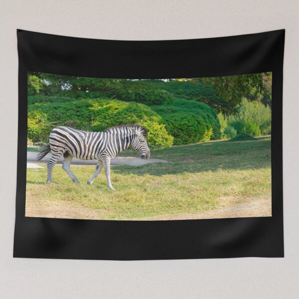 Item preview, Striking Zebra Stroll - Vibrant African Wildlife Photography designed and sold by AbulailArt.