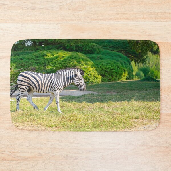Item preview, Striking Zebra Stroll - Vibrant African Wildlife Photography designed and sold by AbulailArt.