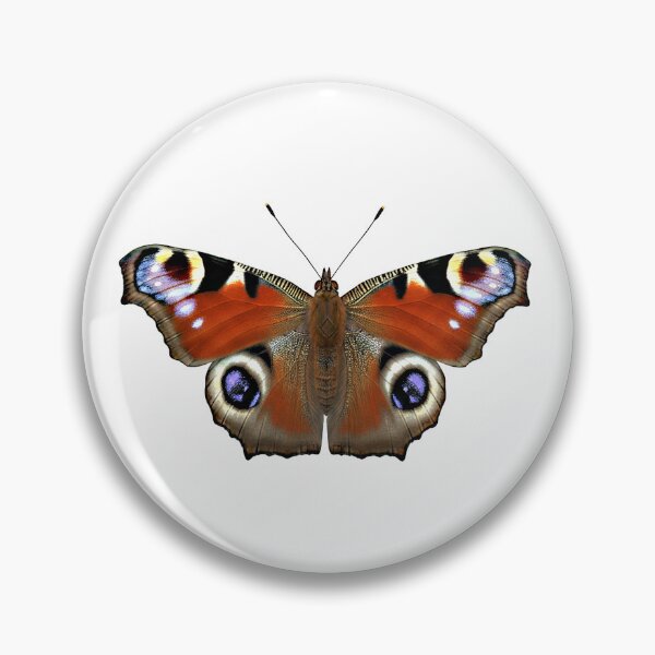 Item preview, European Peacock (Aglais io) Butterfly Vector Illustration with Signature Eyespots, Transparent Background – Classic Entomological Design for Nature Lovers, Gardeners, and Colorful Insects designed and sold by Studiocolors.
