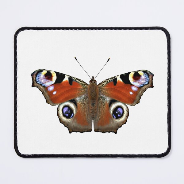 Item preview, European Peacock (Aglais io) Butterfly Vector Illustration with Signature Eyespots, Transparent Background – Classic Entomological Design for Nature Lovers, Gardeners, and Colorful Insects designed and sold by Studiocolors.