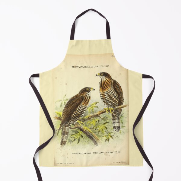 Item preview, Vintage Birds of Prey Poster – Sulawesi Honey Buzzard & Hawk-Eagle – Antique Italian Ornithology Art – Pernis celebensis & Spizaetus lanceolatus designed and sold by Jeeklsdotcom.