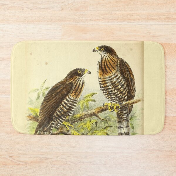 Item preview, Vintage Birds of Prey Poster – Sulawesi Honey Buzzard & Hawk-Eagle – Antique Italian Ornithology Art – Pernis celebensis & Spizaetus lanceolatus designed and sold by Jeeklsdotcom.
