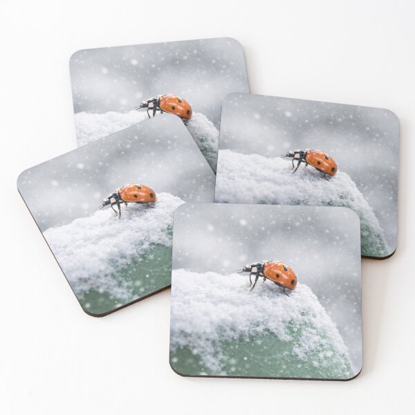Aperçu de l'œuvre Coccinelle dans la neige – Photographie hivernale minimaliste créée et vendue par LDBStudio.