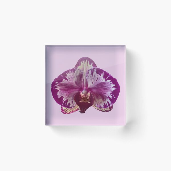Item preview, purple orchid flower sticker  designed and sold by inainart.