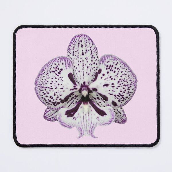 Item preview, white and purple orchid flower sticker designed and sold by inainart.