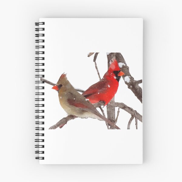 Item preview, Cardinal Bird Painting – Meaningful Spring Nature Art designed and sold by GL Digital Artwork .